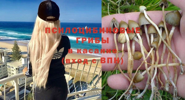 круглые Абаза